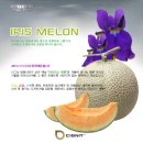 시그닛안양 이미지