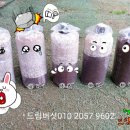 표고버섯 톱밥배지배양및분양