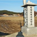 조양기