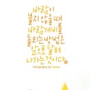 송암태권도 이미지