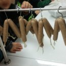 금호태권도체육관 이미지