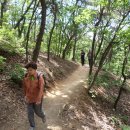 장수산길 이미지