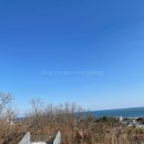 1975 풀빌라 이미지