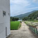 미니스톱 거제연담점 네이버블로그