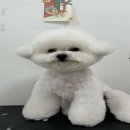 가드기멍 이미지