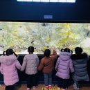 참조은어린이집 이미지