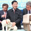 고성동물병원 이미지
