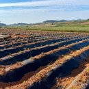 행복농장 1 이미지