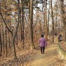 구봉산근린공원 이미지