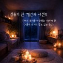 샤인펫 (Shine pet) | 잠들기 전 7일간의 세션3 - 자비와 용서를 연습하는 세번째 문(미움이 더 이상 필요 없는 순간)