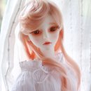 노블리즘 이미지