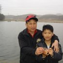 낚시마을 Daum카페