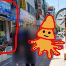 원조한치회 이미지
