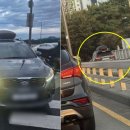 보니또그 이미지