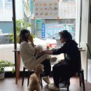 직원카페 | 광주 운암동 유메 애견동반 가능한 신상카페 귀여운 직원 김한우 만난 후기