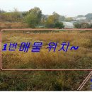 안중삼성유치원 이미지