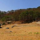 홍천군 두촌면 괘석리 용소계곡 전원주택지 1억 이미지
