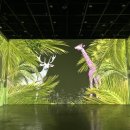 서귀포예술의전당 전시실 이미지