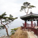 영월-28