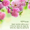 화요일 Daum카페
