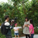 기남농장 이미지