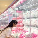뽑기데이트 스타패션