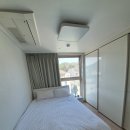 신화더블루 이미지