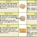 藥이 되는 韓國의 山野草 이미지