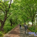 컷트랑파마랑 이미지