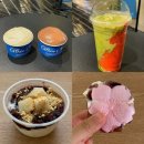 나박소 벚꽃길 | 광안리 젤라또 맛집 글라쇼 광안, 민락더마켓 아이스크림 맛추천 솔직후기