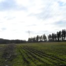 고성리-11 이미지