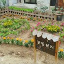 용두동행정복지센터 이미지