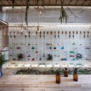 녹지약국 이미지