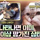 시흥탑동물의료센터 이미지