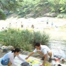 신교카프라자 이미지