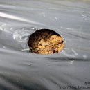 거리농장 이미지