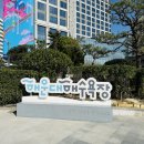 대전해수욕장3 | 부산 여행 2박3일 일정 맛집 추천 해운대해수욕장 스카이캡슐 해변열차(2,3일차)