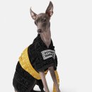 펫브런치 이미지