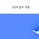 이심 티스토리