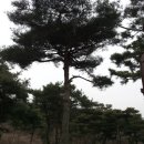 보두농장 이미지