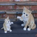 국립생태원동물병원 이미지