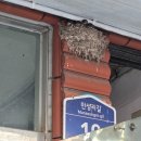 사철횟집 - 밀양시 천태로 407 | 사철횟집