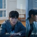 개와고양이 이미지