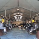 오호초등학교 이미지