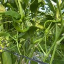 오작교농장 이미지