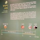 정선군 버들고개 | 밀양 위양지,영남루,향교,밀양시립박물관(2025년5월10일)