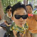 ST메디 | 베트남 푸꾸옥 아이랑 2박 3일 2일차_ 씨쉘스호텔조식,빈펄사파리,메오키친,딘까우사원,메디테란,루아스파