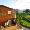 오네노네 이미지