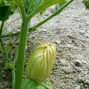 대건목장 이미지