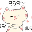 뜰안에냥 이미지